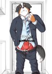 anthro balls_outline belt black_nose blue_necktie bottomwear bottomwear_down bulge clothed clothing detailed_bulge door erection erection_under_clothing footwear front_view fur genital_outline hand_in_pocket holding_clothing holding_object inside male multicolored_clothing multicolored_necktie multicolored_underwear necktie open_belt open_bottomwear open_clothing open_pants pants pants_down partially_clothed pattern_necktie penis_outline pockets red_clothing red_underwear solo striped_necktie tail two_tone_clothing two_tone_tail two_tone_underwear underwear white_body white_clothing white_fur white_tail white_underwear boneless_hamham canid canine canis domestic_dog mammal 2020 absurd_res hi_res