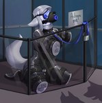 anthro bdsm bitchsuit bodysuit bondage bondage_gear bound chastity_belt chastity_device chicken-wing_tied clothing collar female fleshlight_gag fleshlight_mask frogtied fur gag hair helpless hypnosis hypnosis_fetish hypnotic_visor kennel latex latex_clothing latex_skinsuit leash legs_tied lock locked mind_control padlock pawpads penetrable_sex_toy petplay restraints roleplay rubber_clothing sex_toy skinsuit solo submissive tail tight_clothing crazydonkey canid canine canis mammal wolf digital_drawing_(artwork) digital_media_(artwork) hi_res