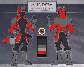 anthro countershade_accent fur genitals male multicolored_body multicolored_fur penis solo text kisly andrew_(defective) canid canine canis mammal wolf absurd_res english_text hi_res model_sheet