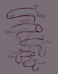 anthro balls big_penis chart comparing comparing_penis comparison foreskin genitals group gynomorph intersex male penis penis_chart small_penis text arino deltarune undertale undertale_(series) alphys asriel_dreemurr burgerpants dess_holiday ralsei bovid caprine deer felid feline goat mammal reptile scalie monochrome