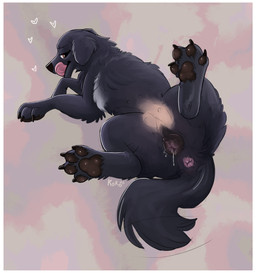 4_toes after_sex anatomically_correct anatomically_correct_genitalia anatomically_correct_vulva animal_genitalia animal_vulva anus bedroom_eyes black_body black_fur black_pawpads black_vulva bodily_fluids border butt canine_genitalia canine_vulva cum cum_from_vagina cum_in_vagina cum_inside cum_on_vulva feet female feral floppy_ears fluffy fluffy_tail fur genital_fluids genitals half-closed_eyes heart_symbol leaking_cum lop_ears lying monotone_body monotone_fur narrowed_eyes nipples on_side pawpads paws pink_anus pink_tongue presenting presenting_anus presenting_hindquarters presenting_vulva raised_leg seductive solo spread_legs spreading tail toes tongue tongue_out vulva white_border queenkoko canid canine canis domestic_dog mammal molosser mountain_dog newfoundland_dog absurd_res alternate_version_at_source hi_res