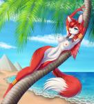 anthro beach biped blue_eyes breasts cloud detailed_background female fur genitals hair jewelry looking_at_viewer lying navel nipple_piercing nipples outside palm_tree piercing plant pussy pyramid red_body red_fur red_hair sand seaside shadow sky solo tree water zoy aryani canid canine felid mammal 2014 hi_res