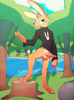 anthro balls blue_eyes blush bottomless casual_exposure clothed clothing cloud day detailed_background erection fur genital_focus genitals glistening glistening_genitalia glistening_penis grass humanoid_genitalia humanoid_penis lake looking_at_viewer male open_mouth outside partially_clothed penis penis_focus plant pose red_penis rock sky slim smile solo spread_legs spreading standing sweater teeth topwear tree turtleneck water tigertooth hare lagomorph leporid mammal rabbit 2020 digital_media_(artwork) hi_res