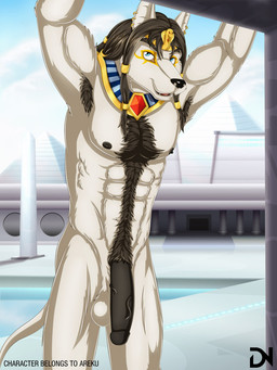 abs animal_genitalia anthro armpit_hair arms_above_head athletic balls biceps big_penis biped black_body black_fur black_nipples black_nose black_penis blue_eyes body_hair building chest_tuft cloud dreadlocks ear_piercing egyptian erection flaccid fur genitals gold_(metal) hair happy_trail humanoid_genitalia humanoid_penis jewelry long_hair looking_at_viewer male muscular muscular_anthro nipples nude outside pecs penis piercing pose presenting pubes sheath sky smile solo standing sunny swimming_pool tail text tuft vein white_balls white_body white_fur dream_and_nightmare areku_al-khemi anubian_jackal canid canine canis jackal mammal 3:4 english_text