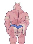 anthro back_muscles blue_clothing blue_underwear butt clothed clothing fur furgonomics male mostly_nude muscular muscular_anthro muscular_arms muscular_male rear_view red_body red_fur simple_background solo standing topless topless_male underwear white_background crocobu kane_(crocobu) canid canine canis mammal wolf 2020 absurd_res hi_res portrait three-quarter_portrait