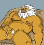 balls beard biceps big_pecs bodily_fluids facial_hair genital_fluids genitals hairy male masturbation muscular muscular_humanoid muscular_male nipples nude pecs precum rock solo aji_arts breath_of_the_wild nintendo the_legend_of_zelda lord_daruk goron humanoid hi_res