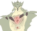 anus biped blush claws female feral genitals green_body looking_at_viewer mouth_closed multicolored_body presenting presenting_pussy pussy simple_background solo spread_pussy spreading standing tan_body white_background yellow_eyes solterv capcom monster_hunter rath_wyvern rathian