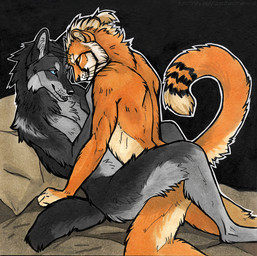 anthro anthro_on_anthro arm_tuft between_legs black_body black_fur black_nose black_tail blonde_hair blue_eyes cheek_tuft duo eye_contact facial_tuft female fur glistening glistening_eyes grey_body grey_fur hair looking_at_another male male/female mouth_closed neck_tuft nude open_mouth orange_body orange_eyes orange_fur sex shoulder_tuft side_view tail tan_body tan_fur tuft heatherwolf canid canine canis felid mammal wolf