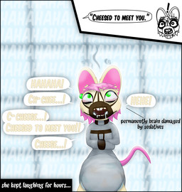 anthro asylum bodily_fluids brain_damage clothed clothing diaper diaper_under_clothing drooling ear_piercing ear_ring female green_eyes hair insane intelligence_loss laugh muzzle_(object) padded_room piercing pink_hair restraints ring_piercing saliva solo speech_bubble straitjacket text wearing_diaper padlockedpadding mammal mouse murid murine rodent english_text