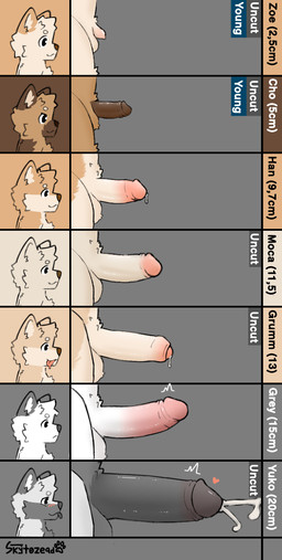 anthro balls big_penis blush bodily_fluids chart circumcised circumcision_scar comparing comparing_penis comparison cum dick_chart erection foreskin fur genital_fluids genital_scar genitals grey_body grey_fur group hair humanoid_genitalia humanoid_penis male penis penis_size_difference retracted_foreskin scar shota simple_background smile unretracted_foreskin young young_anthro young_male young_penis skytozera penis_lineup cho_(skytozera) grey_(skytozera) grumm_(skytozera) han_(skytozera) moca_(skytozera) yukolef_(skytozera) zoe_(skytozera) canid canine canis domestic_dog german_shepherd herding_dog mammal pastoral_dog shiba_inu spitz wolf digital_media_(artwork) hi_res