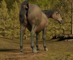 abdominal_bulge anal anal_penetration anal_vore animal_genitalia animal_vulva anus belly belly_movement big_belly butt clitoral_winking clitoris close-up dock_(anatomy) dominant dominant_female duo equine_anus equine_genitalia equine_vulva feet_first female female_feral female_orgasm female_pred feral feral_pred forced forest genitals human_prey internal internal_anal larger_female larger_feral living_buttplug looking_back male male/female orgasm outside partially_inside penetration plant presenting presenting_hindquarters puffy_anus raised_tail rear_view same_size_vore size_difference smaller_human smile solo_focus standing struggling struggling_prey submissive submissive_male tail tail_anus tree unwilling_prey vore volanare1 equid equine horse human mammal 3d_(artwork) 3d_animation animated digital_media_(artwork) huge_filesize long_playtime sound