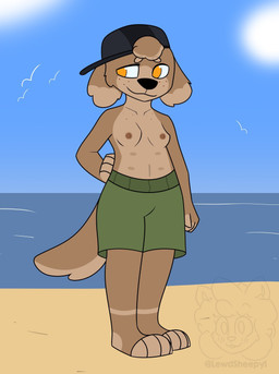 4_toes anthro backwards_baseball_cap backwards_hat barefoot baseball_cap beach black_nose breasts brown_body brown_fur clothed clothing crossdressing feet female floppy_ears freckled_face freckles front_view fur hand_on_hip hat headgear headwear long_ears multi_nipple nipples paws plantigrade sea small_breasts smile solo suntan swimwear tan_line toes tomboy water lupopossum male_swimwear_challenge sam_(lupopossum) canid canine canis domestic_dog mammal hi_res
