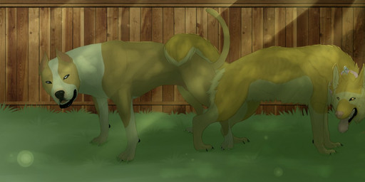 ambiguous_gender ass_to_ass backyard duo feral feral_on_feral fur knotting male male/ambiguous outside paws penetration sex tongue tongue_out fallenthewolf american_staffordshire_terrier canid canine canis domestic_dog german_shepherd herding_dog hunting_dog mammal pastoral_dog terrier 2016