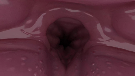 ambiguous_gender ambiguous_pred consistent_pov dark fade_out feral first_person_view internal internal_oral prey_pov solo swallowing throat vore danger_n00dle_(artist) mythology miraroo aquatic cetacean dolphin dragon hybrid mammal mythological_creature mythological_scalie oceanic_dolphin orca scalie toothed_whale 16:9 3d_(artwork) 3d_animation animated digital_media_(artwork) hi_res high_framerate no_sound short_playtime video widescreen