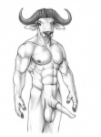 animal_genitalia animal_penis anthro balls bovid bovine bovine_genitalia bovine_penis cape_buffalo erection genitals male mammal monochrome morticus muscular muscular_anthro muscular_male penis simple_background sketch solo v-cut