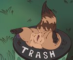2019 5_toes anus black_body black_fur black_tail brown_tail butt container dirtypawz_(artist) feet female feral fur genitals grass in_container in_trash mammal multicolored_body multicolored_fur multicolored_tail plant procyonid pussy raccoon solo tail toes trash_can