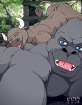 2_horns anal anthro anthro_on_anthro blue_eyes brown_body brown_fur brown_tail_tuft butt butt_lick duo eyes_closed fur grey_body grey_fur horn licking looking_at_viewer male male/male muscular muscular_anthro muscular_male nude_anthro nude_male open_mouth open_smile oral pink_tongue rimming sex smile tail tail_tuft teeth tongue tuft white_horn fabfelipe ape bovid bovine cattle gorilla haplorhine mammal primate 2017 digital_media_(artwork) hi_res