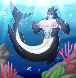 andromorph animal_genitalia belly belly_markings black_eyes blush cloaca genitals humanoid_genitalia intersex markings muscular nipple_outline nude sea solo split_form starfish_(accessory) vertical_cloaca water manyu mythology aquatic asterozoan cetacean dolphin dragon echinoderm hybrid mammal merfolk mythological_creature mythological_scalie oceanic_dolphin orca scalie starfish toothed_whale 2021 absurd_res digital_media_(artwork) hi_res