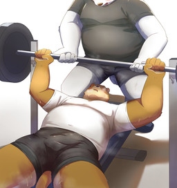 anthro barazoku bottomwear brown_body bulge clothing detailed_bulge duo exercise genital_outline humanoid_hands kemono lying male male/male musclegut muscular musk overweight overweight_male penis_outline shirt shorts topwear white_body workout utu_kuma257 canid canine canis domestic_dog mammal 2024 hi_res