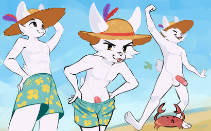 anthro beach clothing day erection fur genitals hat hat_only headgear headgear_only headwear headwear_only humanoid_genitalia humanoid_penis looking_at_viewer male mostly_nude outside penis sky smile smug solo straw_hat sun_hat swimming_trunks swimming_trunks_down swimwear undressing white_body white_fur azuredeer ambient_arthropod ambient_crab ambient_crustacean ambient_sealife lagomorph leporid mammal rabbit 16:10 absurd_res hi_res widescreen