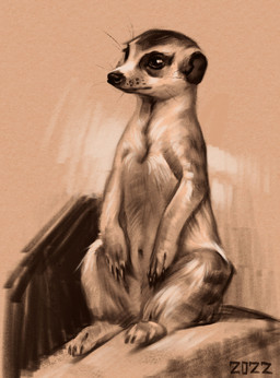 black_claws black_eyes black_nose claws feral quadruped short_fur sitting solo whisker_spots whiskers alexpahomov herpestid mammal meerkat 2022 digital_drawing_(artwork) digital_media_(artwork) hi_res monochrome sepia sketch
