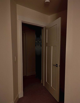 anthro big_ears creepy creepy_face darkness horror_(theme) liminal_spaces male male_anthro no_eyebrows open_mouth photo_background real solo uncanny_valley gurglegluts jay_(gurglegluts) canid canine canis domestic_dog mammal mixed_breed shepsky absurd_res hi_res mixed_media photography_(artwork)
