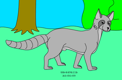 animal_genitalia barely_visible_genitalia barely_visible_sheath feral fully_sheathed fur genitals grass green_grass grey_body grey_fur looking_at_viewer male male_feral outside plant quadruped raccoon_tail sheath shrub sky smile solo tree walking urbanhermit mammal procyonid raccoon 2004 colored