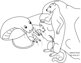 animal_genitalia balls bodily_fluids cum erection female feral forced fur genital_fluids genitals group larger_pred male male/female nude open_mouth oral_vore penis sex sheath size_difference tail trio unwilling_prey vore willing_pred urbanhermit mammal mouse murid murine mustelid musteline reptile rodent scalie snake true_musteline weasel 1990 black_and_white dated monochrome
