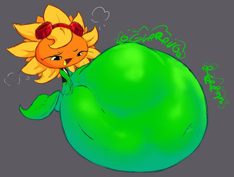 abdominal_bulge belly big_belly black_clothing black_eyebrows black_eyes black_shirt black_topwear blonde_hair clothing digestion eyebrows eyewear eyewear_on_head female flower freckled_face freckles goggles goggles_on_head green_body green_tongue grey_background gurgle_(sound_effect) hair hand_on_belly hand_on_own_belly huge_belly hyper hyper_belly leaf leaf_arms leaf_legs looking_at_belly looking_at_own_belly navel not_furry onomatopoeia open_mouth open_smile orange_face petal_hair petals plant plant_pred pseudo_hair red_eyewear red_goggles red_mouth rumbling_stomach shirt simple_background smile solo sound_effects text tongue topwear vore yellow_petals yellow_sclera cheezeburgr electronic_arts plants_vs._zombies plants_vs._zombies_heroes popcap_games solar_flare_(pvz) elemental_creature flora_fauna flower_creature sunflower_(pvz) 2025 colored digital_media_(artwork) shaded