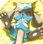 3_fingers ambiguous_focus ambiguous_gender anthro anthro_focus blue_arms blue_body blue_ears blue_fingers blue_tail blush duo eyes_closed fingers generation_4_pokemon human irago mammal nintendo pawpads pokemon pokemon_(species) riolu solo_focus tail young