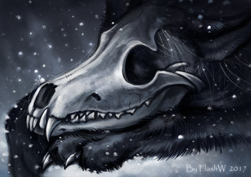 ambiguous_gender arthropod_webbing black_body black_fur bone claws detailed_background detailed_fur ears_back eyeless feral fur inner_ear_fluff long_mouth lying on_front paws pivoted_ears shadow side_view skull snout snow snowing solo teeth tuft white_body white_claws white_fur winter flashw canid canine mammal 2017 bust_portrait character_request detailed digital_media_(artwork) portrait
