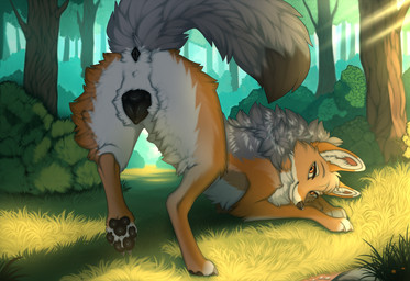 animal_genitalia animal_vulva anus black_anus black_nose black_pawpads black_vulva butt canine_genitalia canine_vulva claws day detailed_background female female_feral feral forest fur genitals grass grey_claws inner_ear_fluff looking_back multicolored_body multicolored_fur orange_eyes outside pawpads plant presenting presenting_hindquarters shrub solo tail_anus tree tuft vulva a.o.kigahara_(artist) taka_(artist) canid canine canis jackal mammal artist_collaboration hi_res