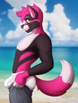 anthro beach briefs bulge clothing cloud fur looking_at_viewer male outside seaside sky solo standing tighty_whities underwear white_briefs white_clothing white_underwear sebtheredpanda tight_pants_(meme) hybrid 3:4 hi_res meme