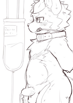 anthro balls bdsm belly bit_gag blush bodily_fluids catheter catheter_in_urethra collar drooling erection gag genitals hands_behind_back humanoid_genitalia humanoid_penis intravenous_bag kemono male medical_instrument nude penetration penis saliva scientific_instrument side_view solo standing sweat urethral urethral_penetration young young_anthro shouka_2810 canid canine canis domestic_dog mammal hi_res line_art