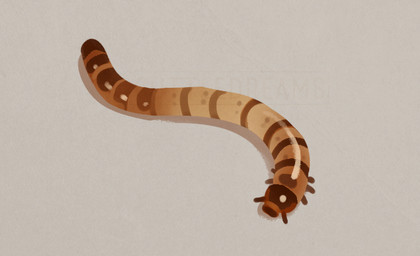 ambiguous_gender antennae_(anatomy) brown_body feral glistening glistening_body gradient_body grey_background multi_limb segmented_body simple_background solo striped_body stripes tan_body cuttledreams arthropod beetle insect larva mealworm digital_drawing_(artwork) digital_media_(artwork) full-length_portrait portrait watermark
