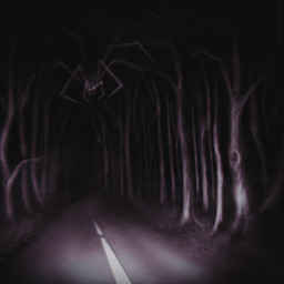 ambiguous_gender creepy feral forest macro multi_eye multi_leg multi_limb night outside plant road solo street tree louceph arachnid arthropod spider 1:1 2018 digital_media_(artwork) digital_painting_(artwork) english_description greyscale hi_res monochrome painting_(artwork)