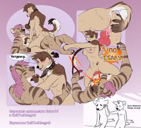 animal_genitalia animal_penis breasts canine_genitalia canine_penis collar duo female genitals knot leash leash_pull male male/female penetration penis sex striped_body stripes text vaginal vaginal_penetration keilthemongrel jakaroo_(yeenajust) canid canine canis domestic_dog hyena mammal striped_hyena russian_text