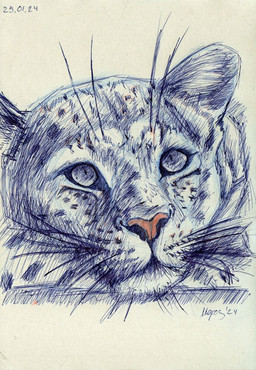 feral fur markings pen simple_background sketchy spots spotted_markings whiskers felid feline leopard mammal pantherine 2024 signature sketch
