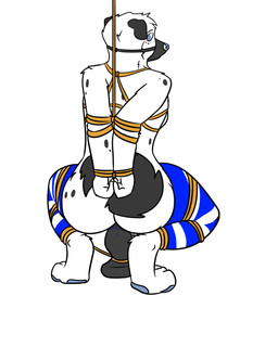 ambiguous_penetration anthro anthro_penetrated arms_tied bdsm biped blue_eyes blue_nose bondage bound breasts brown_rope dildo exposed_breasts female female_penetrated frogtied gag gagged hands_behind_back hands_tied legs_tied muzzle_(object) muzzle_gag muzzled penetration restraints rope rope_bondage sex_toy thatguyssins canid canine canis domestic_dog mammal 2019 4:5 hi_res