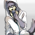 4_fingers anthro clothing dog_tags electronics fingers fur grey_background grey_body grey_fur hoodie jewelry male necklace phone shirt simple_background solo tail tank_top topwear yellow_eyes bearlovestiger13 morenatsu kouya_(morenatsu) canid canine canis domestic_dog husky mammal nordic_sled_dog spitz 1:1 2016