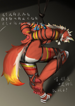 4_toes arms_tied bdsm bound butt captured clothing feet footwear fur hair hindpaw humiliation male paws red_body sock_in_mouth socks solo tail text toes anonymous_artist nanguapai wildpumpkinpie canid canine canis humanoid mammal wolf absurd_res chinese_text hi_res