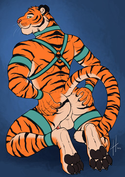 anthro anus athletic athletic_anthro athletic_male balls barely_visible_genitalia barely_visible_penis black_claws black_pawpads butt claws closed_smile collar ear_piercing fur gauged_ear genitals glistening glistening_eyes green_eyes harness kneeling looking_at_viewer male male_anthro markings mouth_closed narrowed_eyes nude orange_body orange_fur pawpads penis piercing presenting presenting_anus rear_view red_penis simple_background smile solo spread_butt spreading striped_arms striped_legs striped_markings striped_tail stripes tail tail_markings tan_balls tan_body tan_fur teal_collar teal_harness whiskers hufnaar felid mammal pantherine tiger absurd_res hi_res