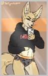 athletic belly big_ears blep border camera eyelashes female fluffy fluffy_tail grey_border mirror narrowed_eyes neck_tuft smile smirk solo sweatshirt tail tongue tongue_out tuft whiskers tigerinspace matthews(razumi) canid canine fennec_fox fox mammal true_fox absurd_res hi_res