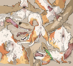 after_orgasm after_sex anal anal_fingering anal_penetration anatomically_correct anatomically_correct_genitalia anatomically_correct_penis animal_genitalia animal_penis anthro anthro_on_feral anthro_penetrating anthro_penetrating_feral anus ass_up balls bent_over bestiality bodily_fluids breath brown_body brown_fur butt butt_grab canine_genitalia canine_penis chest_tuft close-up collar collar_pull cross-popping_vein cum cum_drip cum_from_mouth cum_in_ass cum_in_mouth cum_inside cum_on_body cum_on_butt cum_on_face cum_on_ground cum_on_penis cum_overflow cum_string cum_while_penetrated cumshot deep_throat directional_arrow doggystyle drinking drinking_cum dripping duo ejaculation erection eyes_closed fangs_bared fangs_on_penis fellatio feral feral_penetrated fingering fluffy fluffy_tail forced forced_oral from_behind_position fur fur_markings gaping gaping_anus genital_fluids genitals hand_on_butt hand_on_penis heart_symbol internal intraspecies intraspecies_bestiality irrumatio knot knot_tugging knotted_penis leg_grab looking_at_viewer looking_back low-angle_view lying male male/male male_anthro male_feral male_on_feral male_penetrated male_penetrating male_penetrating_male markings motion_lines multicolored_body multicolored_fur multiple_positions nude_anthro nude_male on_back open_mouth oral oral_penetration orange_body orange_fur orgasm penetration penile penile_penetration penis penis_in_mouth perineum precum precum_drip precum_on_tongue precum_squirt presenting presenting_anus presenting_hindquarters pull_out rear_view saliva saliva_string sex shaking sheath side_view simple_background smile spots spread_anus spread_legs spreading standing symbol tail text thigh_grab throat_swabbing throbbing throbbing_penis thrusting tongue tongue_out trembling tuft twitching white_body white_fur worm's-eye_view hotdogmeat kanon_(applejacksville) tukamos_(character) australian_shepherd canid canine canis coyote domestic_dog herding_dog mammal pastoral_dog sheepdog 2025 absurd_res digital_media_(artwork) english_text hi_res multiple_scenes