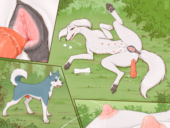 animal_dildo animal_genitalia animal_penis animal_sex_toy animal_vulva anus bodily_fluids canine_dildo canine_genitalia canine_penis canine_vulva claws countershade_fur countershade_tail countershading dildo duo erection female feral feral_on_feral fur genitals intraspecies lactating male male/female nipples pawpads paws penis sex_toy tail white_body white_fur crocodiler_owen ginga_(series) cross_(ginga) weed_(ginga) akita canid canine canis domestic_dog hunting_dog mammal saluki sighthound spitz hi_res