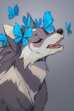 ambiguous_gender black_nose eyelashes eyes_closed female feral fur grey_background grey_body grey_fur group larger_female open_mouth simple_background size_difference snout azzai azzai_wanderia_(azzai) arthropod butterfly canid canine canis insect lepidopteran mammal wolf 2020 colored colored_sketch digital_drawing_(artwork) digital_media_(artwork) shaded simple_shading sketch
