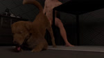 anatomically_correct anatomically_correct_genitalia anatomically_correct_vulva animal_genitalia animal_vulva anus balls balls_deep bestiality big_dom_small_sub bodily_fluids brown_body brown_fur butt canine_genitalia canine_vulva cum cum_in_vagina cum_inside detailed_background dominant duo duo_focus female female_penetrated feral feral_penetrated from_front_position fur genital_fluids genitals group human_on_feral human_penetrating human_penetrating_female human_penetrating_feral interspecies kitchen light-skinned_male lying male male/female male_dominating_female male_on_feral male_penetrating male_penetrating_female male_penetrating_feral missionary_position non-verbal_consent nude nude_male on_back on_top orgasm penetration penile penile_penetration penis penis_in_vagina plump_labia presenting presenting_hindquarters presenting_vulva realistic_feral sex short_fur size_difference smaller_female smaller_penetrated tail tongue tongue_out vaginal vaginal_fluids vaginal_penetration vulva aaddcc bird_dog canid canine canis domestic_dog golden_retriever human hunting_dog mammal retriever 3d_(artwork) 3d_animation animated digital_media_(artwork) hi_res webm
