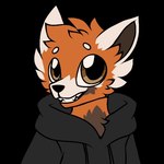 anthro bottomwear brown_eyes clothing eyebrows fur hair hoodie inner_ear_fluff male orange_body orange_fur smile solo teeth teeth_showing topwear tuft pegacousin alyx_(not_odessa) ailurid mammal red_panda 1:1 2022 low_res