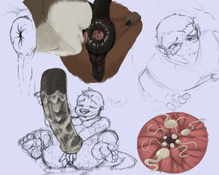 after_anal after_oral after_rimming anal anal_fingering animal_genitalia animal_penis anthro anus blush bodily_fluids brown_anus brown_body brown_fur cum cum_covered cum_in_ass cum_inside cum_on_penis dialogue dominant dominant_taur duo equine_anus equine_genitalia equine_penis erection eyewear feet fingering fingering_self fur genital_fluids genitals glasses graded_penis hair impregnation looking_pleasured male male/male masturbation medial_ring messy nude nude_male oral orgasm_face ovum penis perineum pregnant pregnant_male puffy_anus raised_tail rimming sex simple_background sitting size_difference speech_bubble sperm_cell student submissive submissive_anthro tail teacher teacher_and_student text tongue tongue_out pandottermon european_mythology greek_mythology mythology toma_(pandottermon) centaur equid equid_taur humanoid_taur mammal mammal_taur mustelid otter taur guide_lines hi_res partially_colored sketch