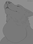 ambiguous_gender ambiguous_prey anthro fur inner_ear_fluff male male_pred neck_bulge solo swallowing tuft vore roobin canid canine mammal 3:4 digital_media_(artwork) hi_res monochrome